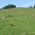 Proiect P.U.Z.- amenajare p�rtie de schi, zona Platoş, Poiana Poplăcii