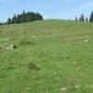 V�rful Comanda